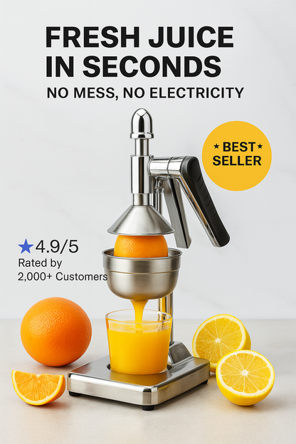 Fruit Juicer