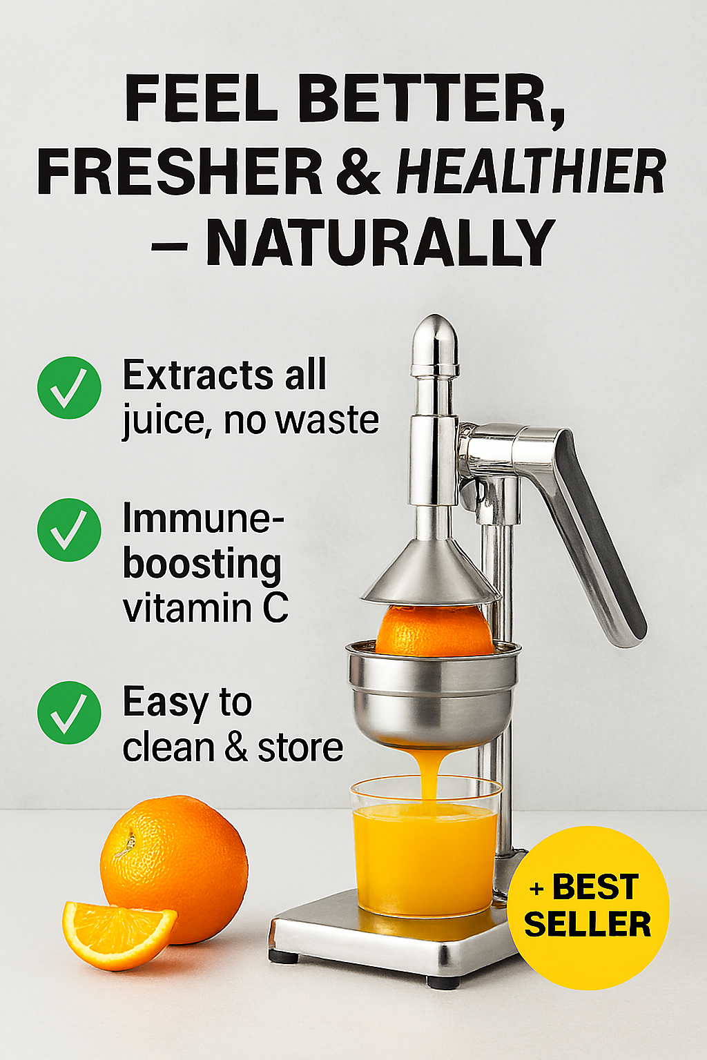 Fruit Juicer