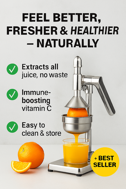 Fruit Juicer