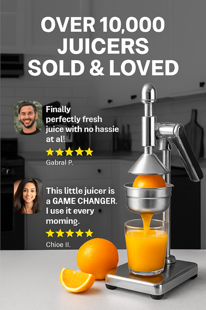 Fruit Juicer