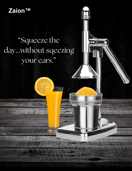 Fruit Juicer